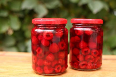 Faydalılıgını İtirmeyen Konservlesdirilmis Moruq