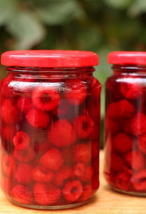 Faydalılıgını İtirmeyen Konservlesdirilmis Moruq