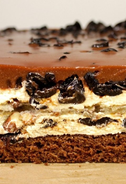 inanilmaz-derecede-lezzetli-serxos-gavali-tortu