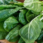 Təbiətin Gizli Vitamini: Tikanlı və Şəfalı Kaktus Meyvəsi