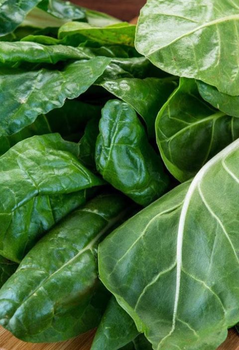 pazının hec bilmediyiniz faydaları