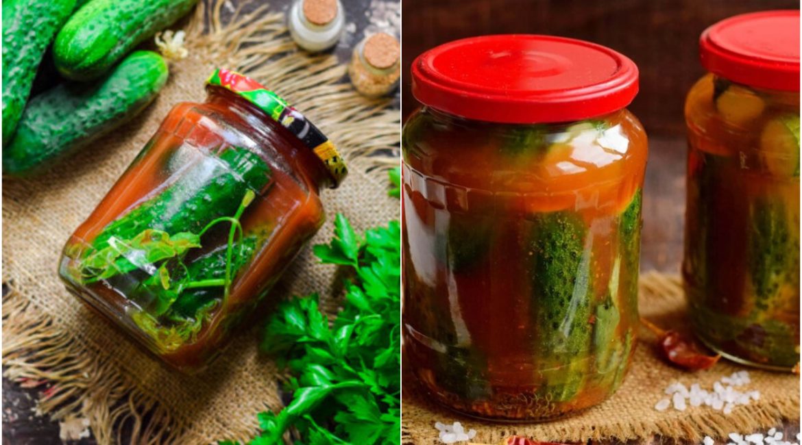 unikal dad tomat sousunda xiyar tursusu