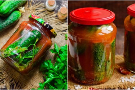 unikal dad tomat sousunda xiyar tursusu