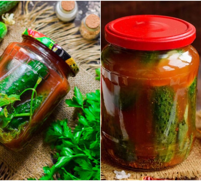 unikal dad tomat sousunda xiyar tursusu